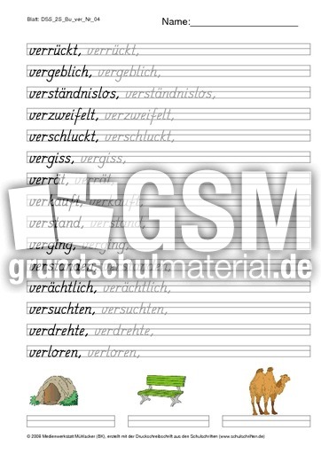 DSS_2S_Bu_ver_Nr_04.pdf